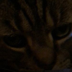 Meet your Posher, Beth